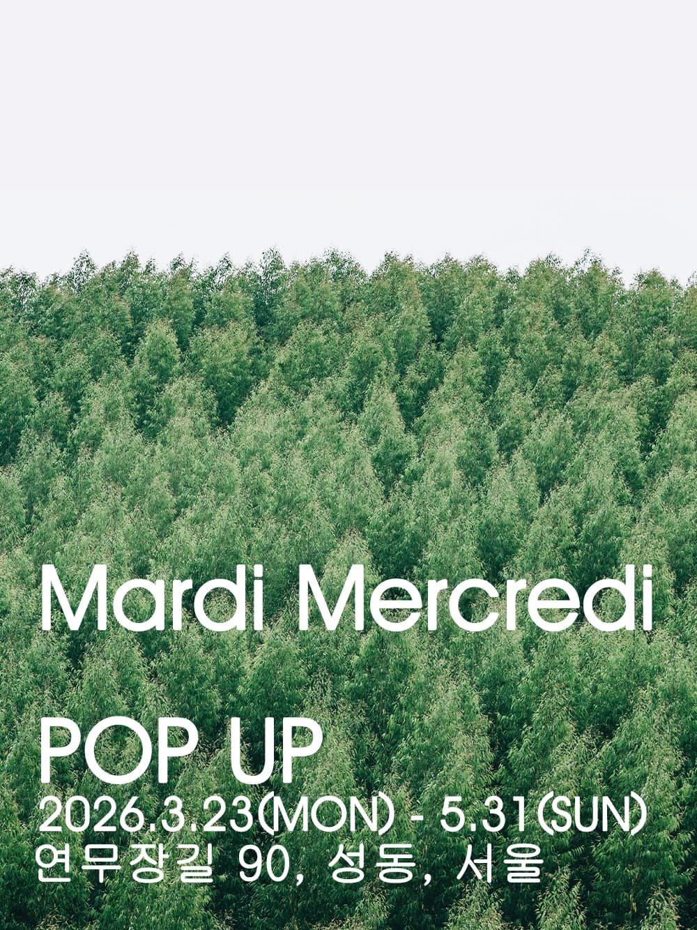 Mardi Mersrerdi 팝업